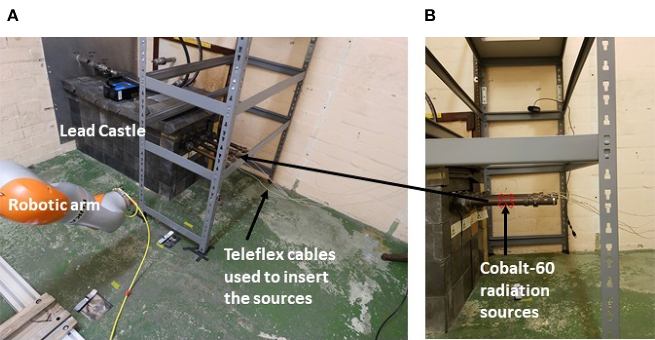 Setup di test con braccio robotico, schermatura in piombo e sorgenti Cobalto-60