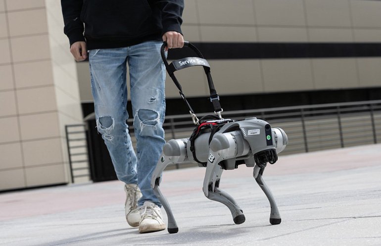Cane guida robot quadrupede in test outdoor con accompagnamento umano