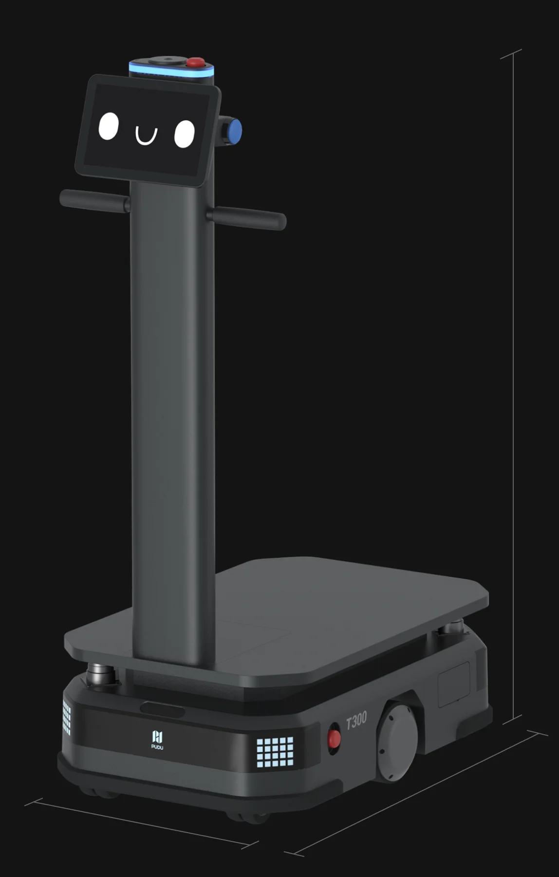 Schema dimensionale PUDU T300